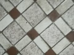 -梁园