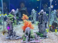 -烟台海昌鲸鲨海洋公园