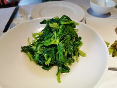 清炒豌豆尖-四季民福烤鸭店(王府井灯市口店)
