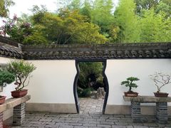 -上海醉白池公园