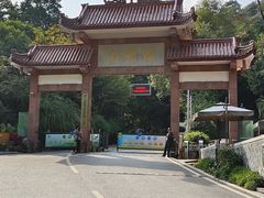 -缙云山景区