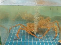-新丁香海鲜酒店(银海商贸城店)