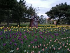 -长春公园(普阳街道)