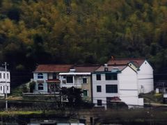 -四明山国家森林公园