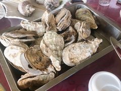 -罗源湾8号渔排