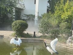 -广富林宰相府酒店·水云间
