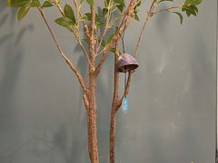 -Oasis coffee燕谷咖啡(公信店)