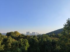 -西湖风景区-江洋畈生态公园
