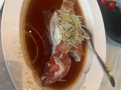 -喜来登由由大酒店九州膳坊中餐厅