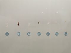-青岛贝壳博物馆