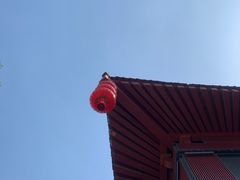 -大雁塔北广场音乐喷泉