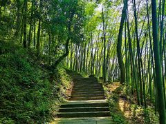 -西湖风景区十里琅珰-五云山