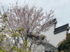 -堤角公园