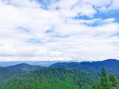 -武陵山森林公园