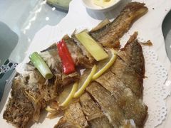 -骏莱海鲜鱼港(五角场店)