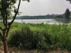 -昆山城市生态森林公园