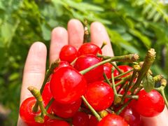 -老张烤羊(王哥庄店)