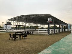 -上海崇明金茂凯悦酒店