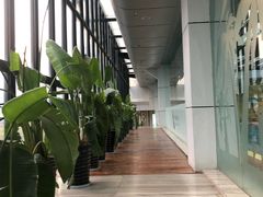 -CLASS国际公馆诺伯曼超越运动会馆