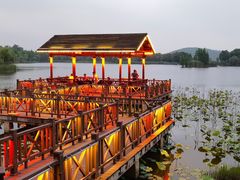 -上海市保健医疗中心