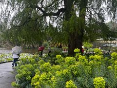 -墨尔本皇家植物园