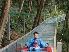 -龙湾潭国家森林公园