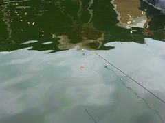 -DGE季风钓虾营地·团建·聚会
