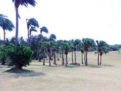 -鹅銮鼻公园