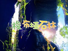 -梭布垭石林景区