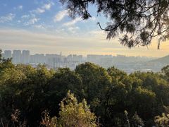 -惠山国家森林公园