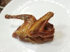 -百鸟归巢天麻鱼头(远洋城店)
