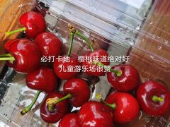 -菊园百果园