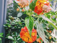 -玲珑汤泉生活会馆(花桥店)