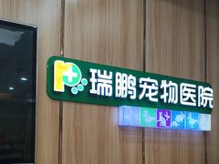 -瑞鹏宠物医院·夜间急症·心超·猫科(祖庙分店)