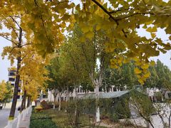 -宜华康盲人按摩(马连洼旗舰店)