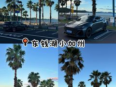 -晓琦农家菜馆·地道农家菜