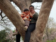 -淇河国家湿地公园