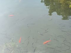 -郑和公园