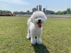 -上海月湖雕塑公园