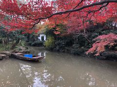 -秋霞圃