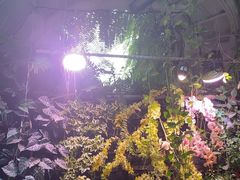 -正佳雨林生态植物园