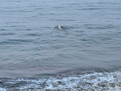 -青岛第三海水浴场