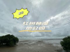 -宝安西湾红树林湿地公园