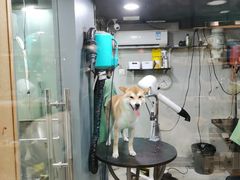 -PETKIT小佩宠物(昭化店)