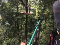 -清迈丛林飞跃 JungleFlight