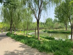 -东郊湿地公园