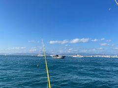 -小猫钓鱼海钓俱乐部(椰梦长廊店)