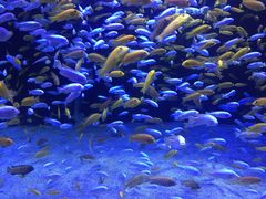 -成都浩海立方海洋公园