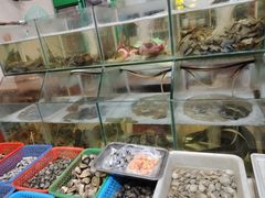 -两广烧蚝(新兴街店)