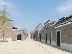 -王借岗森林公园